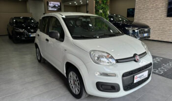 Fiat Panda 1.3 MJT S&S Easy pieno