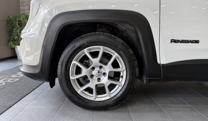 Jeep Renegade 1.6 Mjt 130 CV Limited pieno