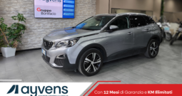 3008 12 mesi garanzia