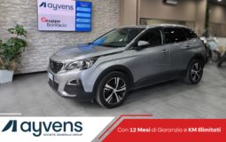 3008 12 mesi garanzia