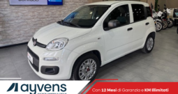 fiat panda bianca
